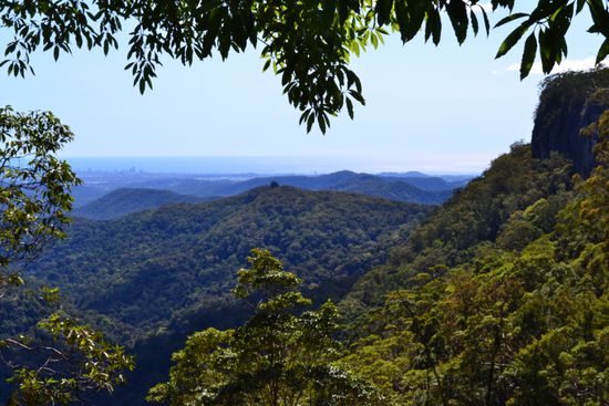 Canyon Lookout - unsere Busch-Wanderung beginnt