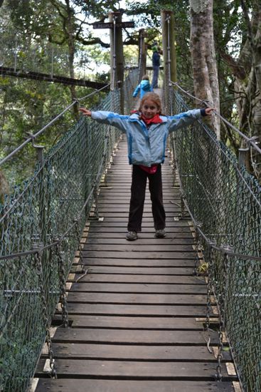 Schwingende Brücken...