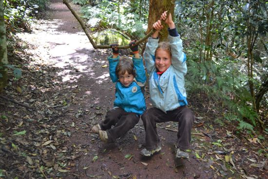 Natur-Schaukeln gibt es genügend auf dem Weg