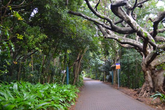 Erneuter Stadtrundgang am nächsten Morgen