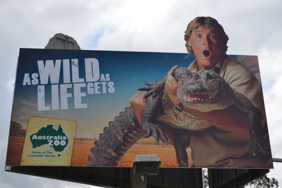 Der verrückte Aussie - Steve Irwin