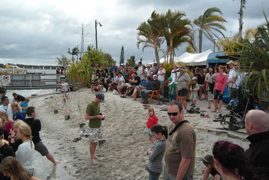 Morgens 8Uhr am Wharf in Tin Can Bay