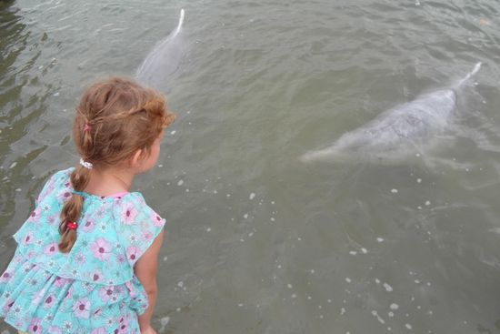 Maya bei der Fütterung...