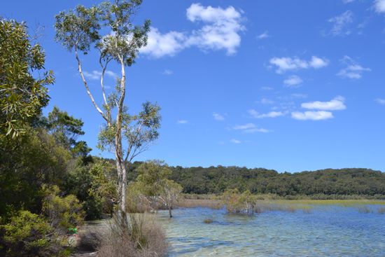 Lake Birrabeen