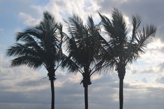 Wird das Wetter halten?