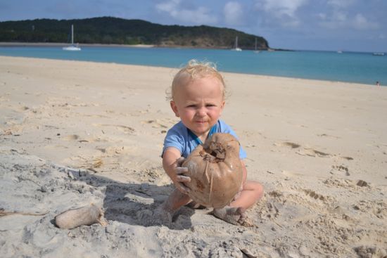 Habe diese Kokosnuss gefunden