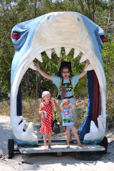 Gefährliche Meeresbewohner