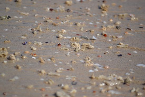 Afternoon impressions of Great Keppel Island