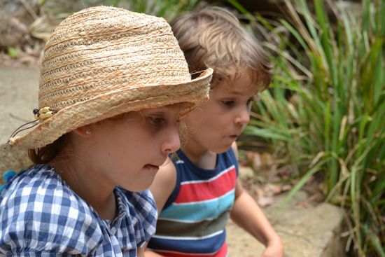 Hier gibt es was zu sehen...