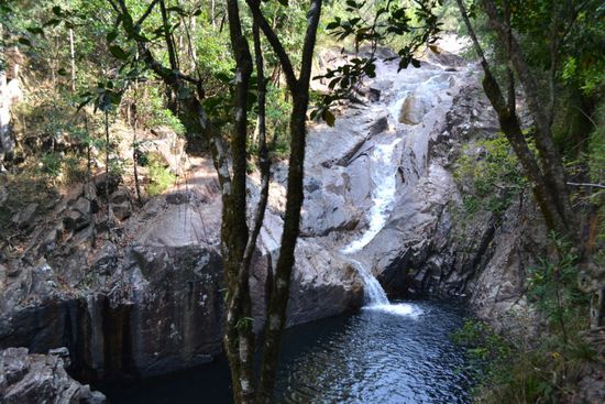 Wasserfall in der Finch Hatton Gorge