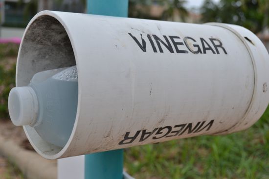 Essigflasche am Strand als erstes Hilfsmittel bei Berührung mit gefährlichen Quallen