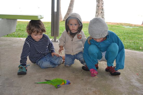 Tierbeobachtungen am Strand