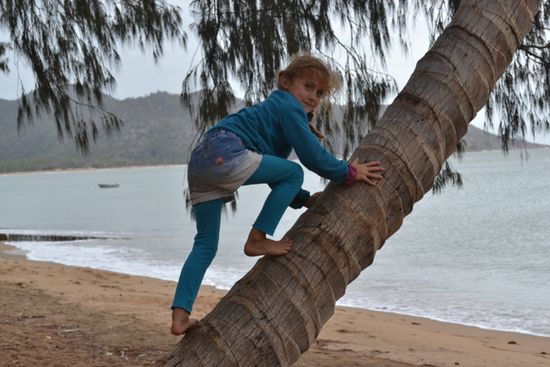 Wer hat die Kokosnuss geklaut?