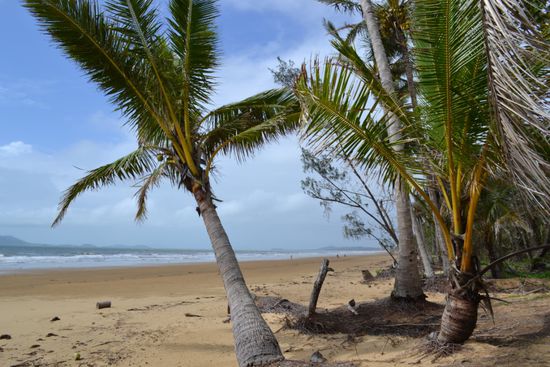 ...und etwas Karibik-Feeling