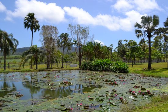 Sehr schön gelegener und familiärer Crocodile Park