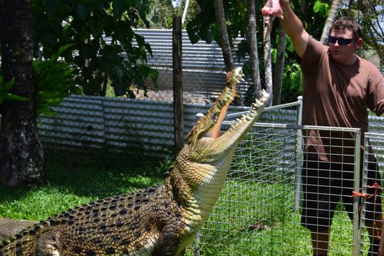 Fütterungszeit für Eddie