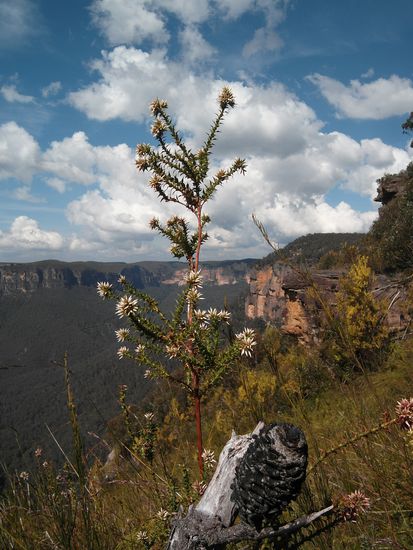 Auf einem weiteren Trail