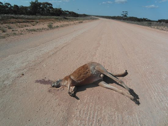 ...leider oft auch so