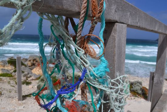 Kangaroo Island Impressions