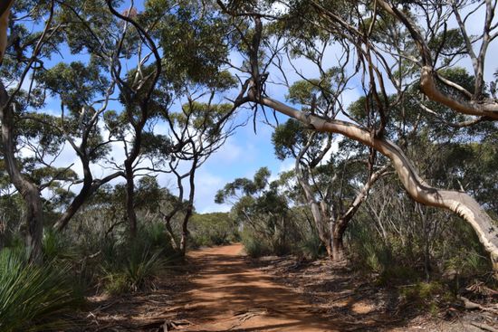 Eindrücke aus der Bucht 'Harvey's Return'