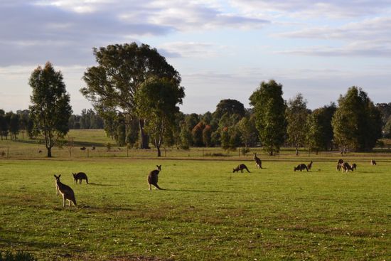 Beobachtungen am Abend