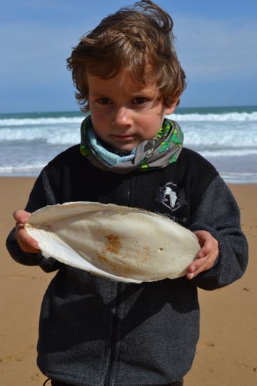 Schätze aus dem Meer