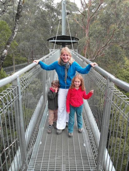 Auf dem Ottway Fly - TreeTop Skywalk...