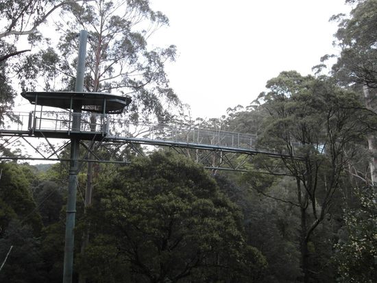 ...mitten im Regenwald