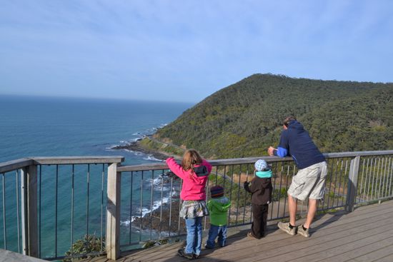 Teddy Lookout am Morgen