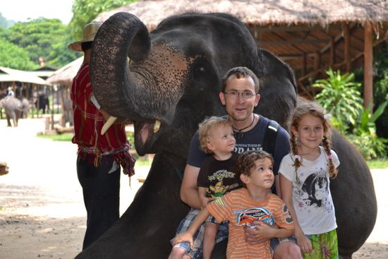 Elefanten hautnah...