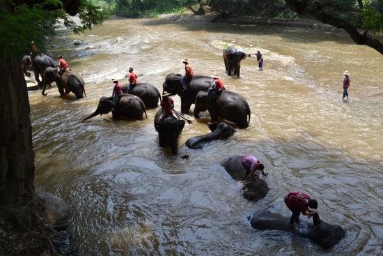 Vor der Show wird gebadet...