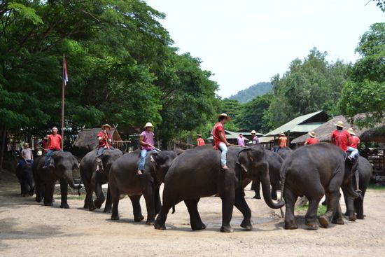 ...und dann ging es los