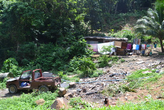 Links und rechts des Weges...