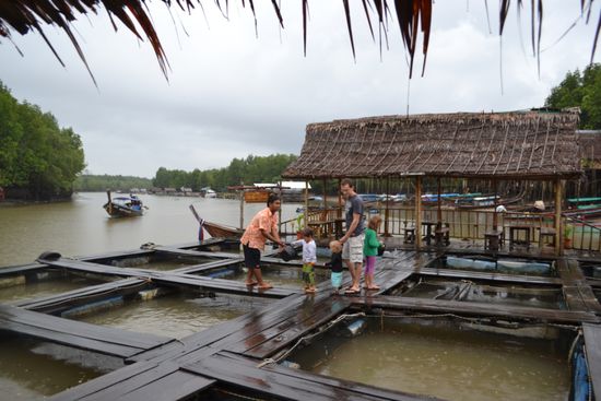 Besuch der Fischfarm im Mündungsgebiet