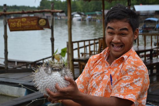 Keine Ahnung, wie der Fisch heißt - irgendein Kugelfisch!?