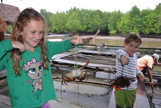 Krabben-Ausflug