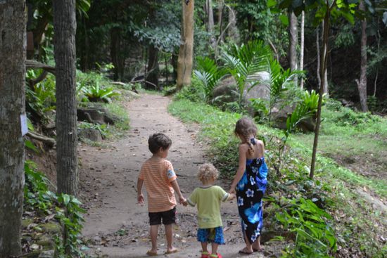 Wanderung zu einem Wasserfall im Landesinneren