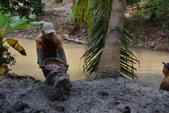 Düngen mit Mekong-Schlamm