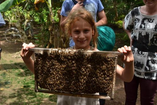 Maya und hunderte Bienen auf der Farm - bitte nicht fallen lassen!