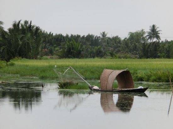 Reisfeld und Fischen