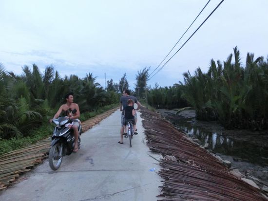 Wasser-Kokosnuss-Plantage