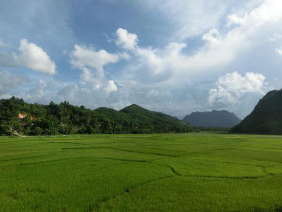 Fahrt gen Norden durch endlose Reisfelder