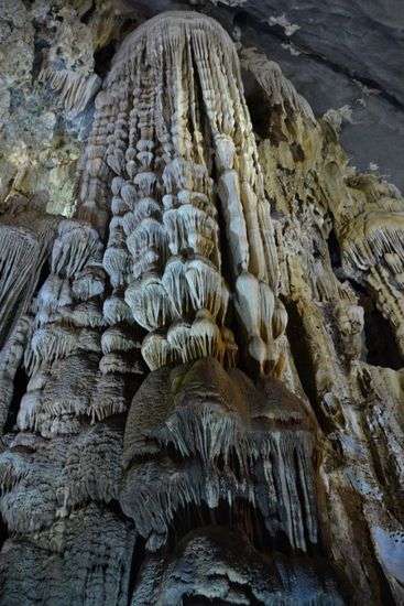 Jellyfish - namensgebend