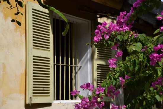 Im alten Garden-House