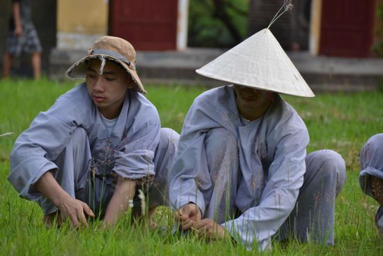 vietnamesische Rasenmäher im Tempelgarten