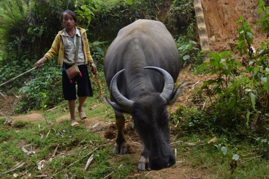 ...auf den teils steilen Bergpfaden