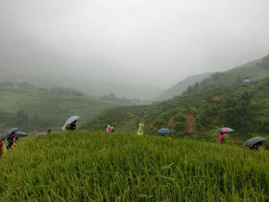 ...durch den Regen...