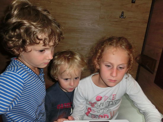 Laptop-Abendlektüre 