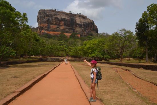 Unesco Erbe Sigiriya Rock - Da geht´s nun hoch...