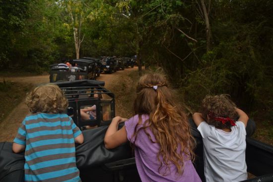 Rush Hour: Einfahrt zum Minneriya Nationalpark